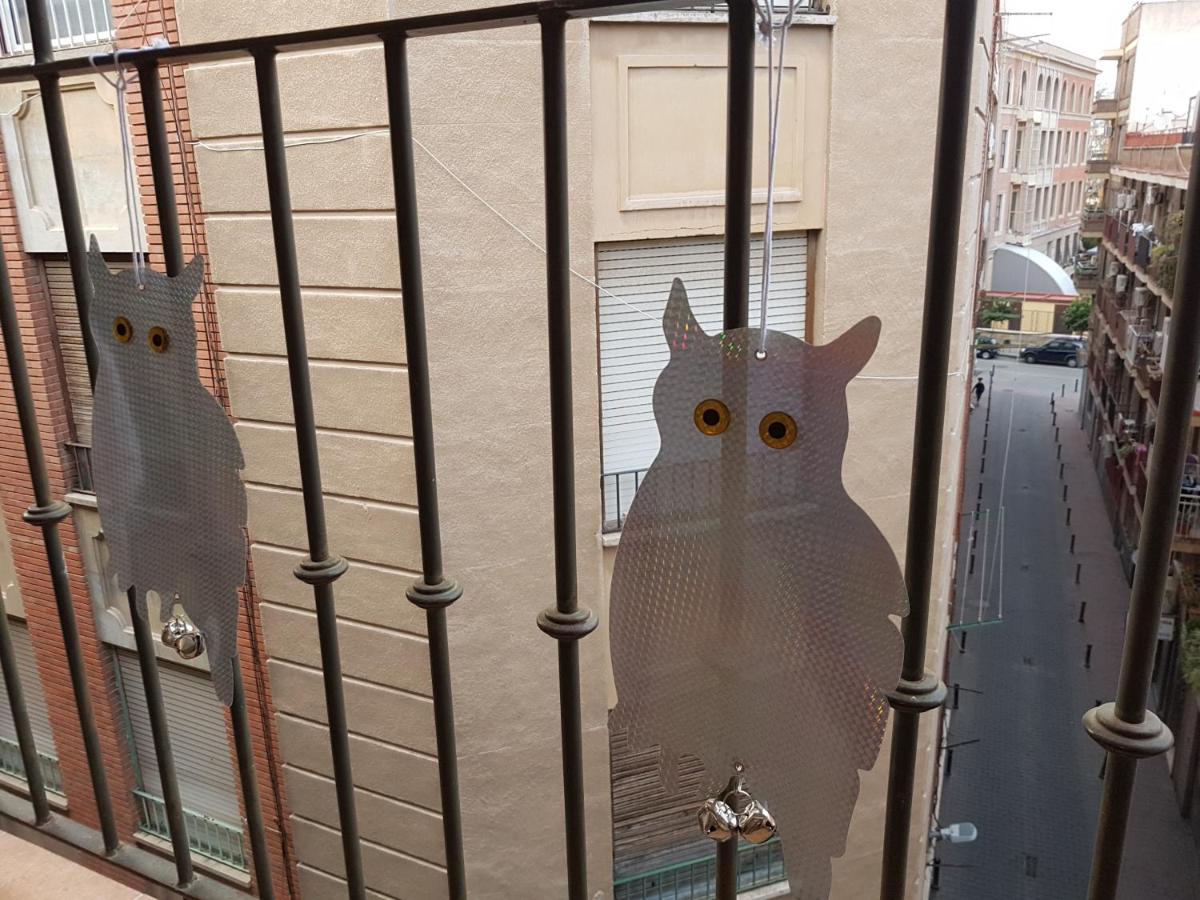 Apartamento Los Buhos Murcia Dış mekan fotoğraf