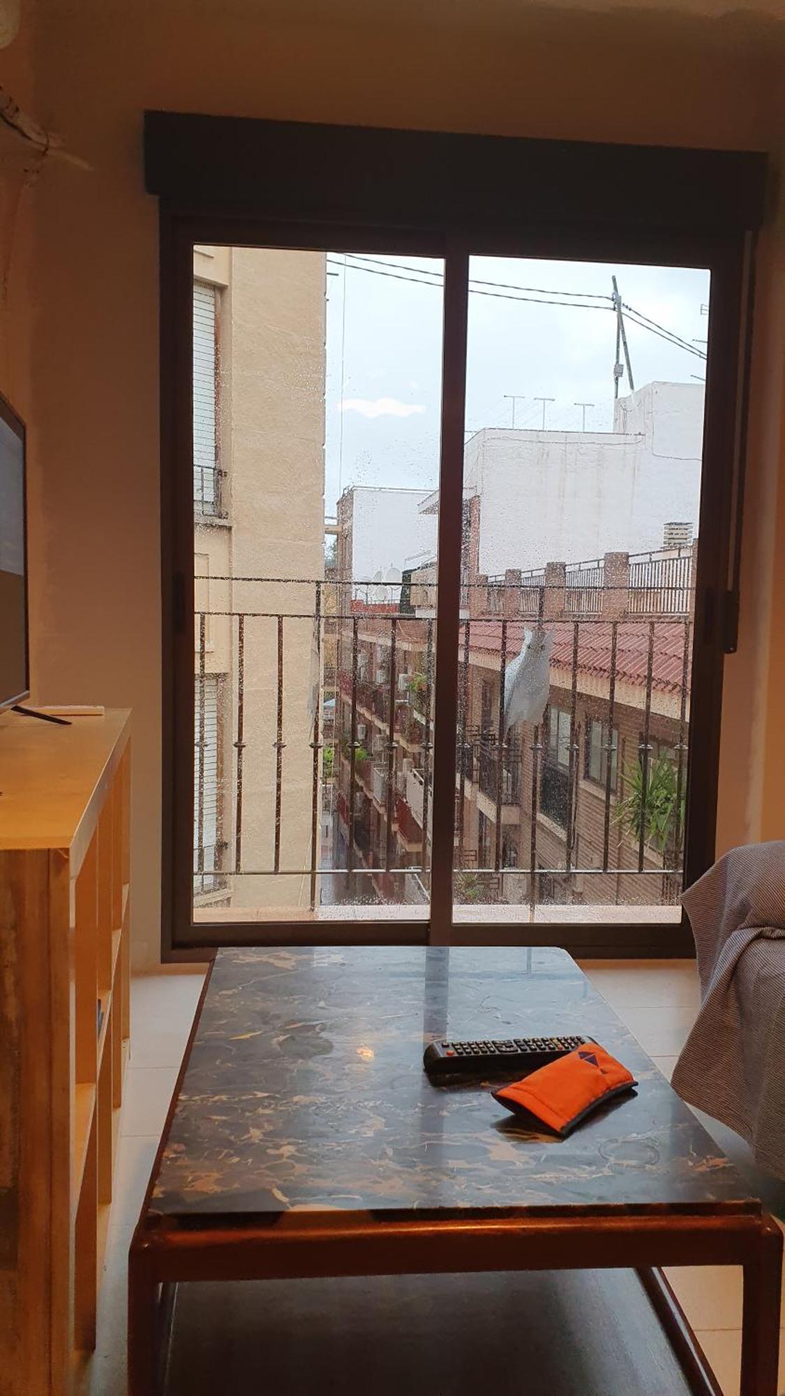 Apartamento Los Buhos Murcia Dış mekan fotoğraf